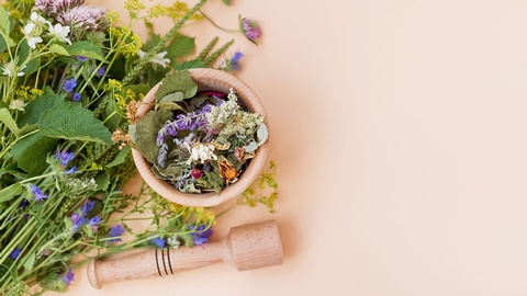 Phytotherapie © shutterstock