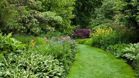 Arzneipflanzengarten © shutterstock