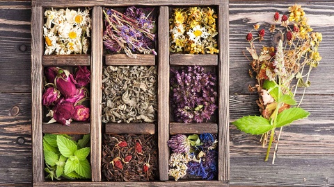 Phytopharmaka © shutterstock