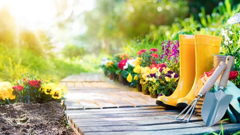 Garten © Shutterstock