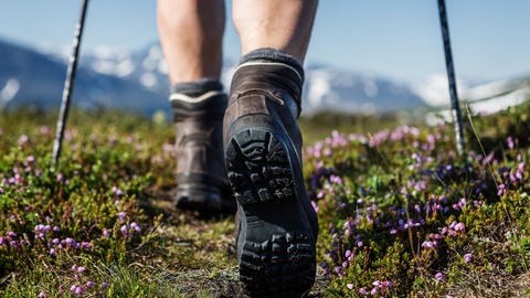 Mann beim Wandern © Shutterstock