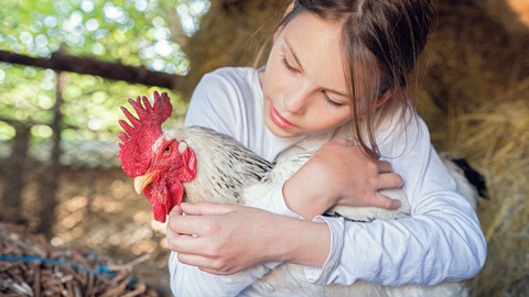 Ein Kind mit einem Hahn am Bauernhof. © Shutterstock