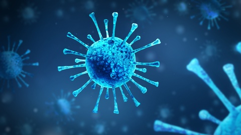 Illustration des Covid-Virus © Shutterstock