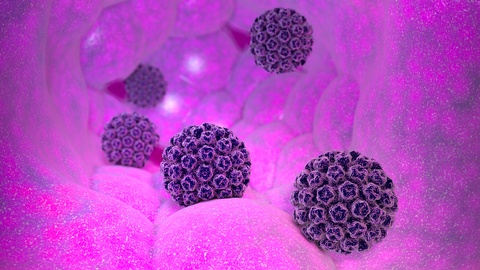HPV-Virus © Shutterstock