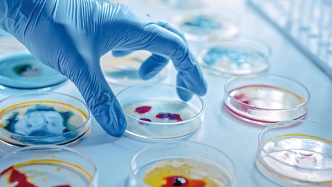 Themenbild Antibiotika-Resistenzen &copy; Shutterstock