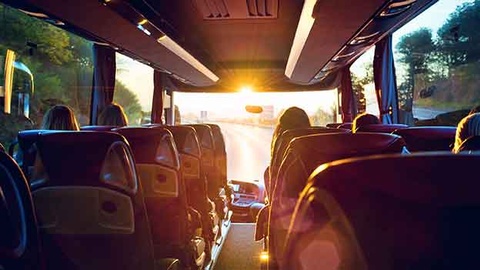 Bus © Shutterstock