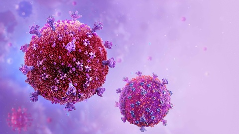 HIV-Viruszellen © Shutterstock