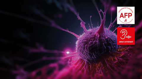 Pumitamig &copy; Shutterstock