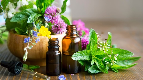 Phytotherapie © Shutterstock