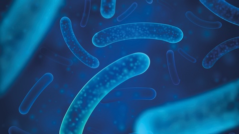 Helicobacter &copy; Shutterstock