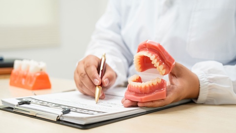 Ärztin erklärt Gebiss © Shutterstock