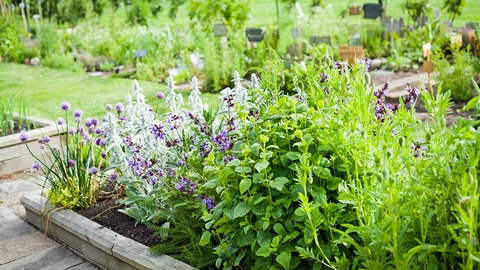 Kräutergarten © shutterstock