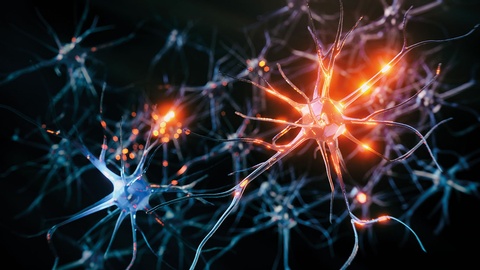 Nerven © iStock