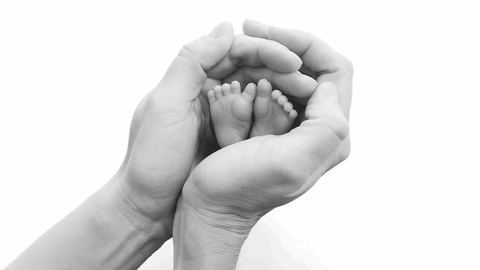 Shutterstock &copy; Shutterstock