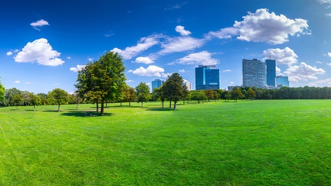 Grünfläche Wien  © Shutterstock