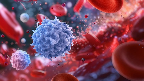 Immunsystem © Shutterstock