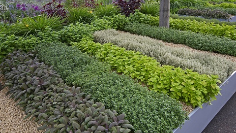 Kräutergarten © Shutterstock