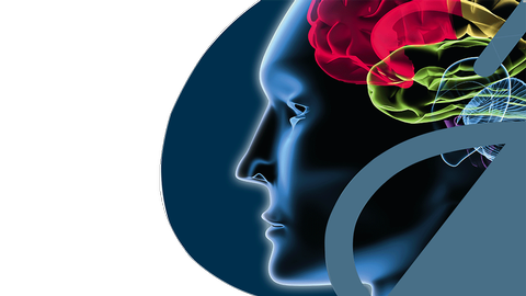 &Ouml;sterreichische Gesellschaft f&uuml;r Neuropharmakologie und Biologische Psychiatrie &copy; &Ouml;sterreichische Gesellschaft f&uuml;r Neuropharmakologie und Biologische Psychiatrie