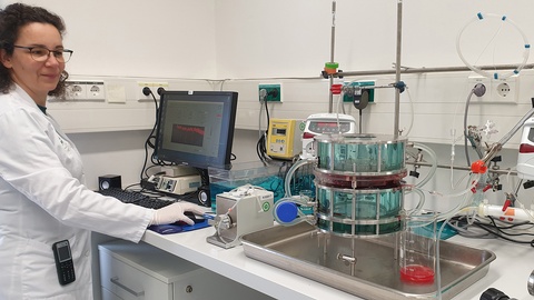 Birgit Hirschmugl bei der Arbeit im Labor. © Med Uni Graz