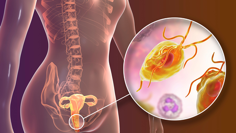 Animation &copy; shutterstock