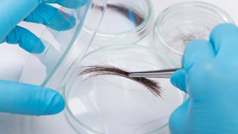 Haarprobe &copy; shutterstock