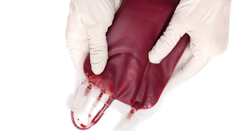 Blut © Shutterstock