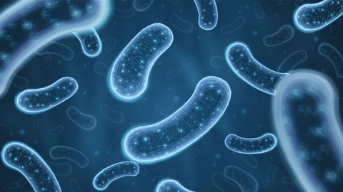 Mikroben © Shutterstock