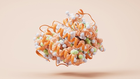 Proteinstruktur © Shutterstock