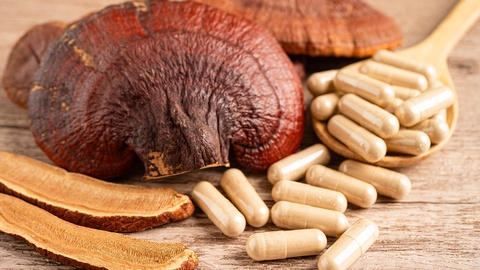 Vitalpilze &copy; Shutterstock