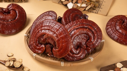 Vitalpilze_2 &copy; Shutterstock