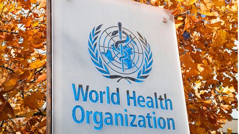 WHO &copy; Richard Juilliart/Shutterstock