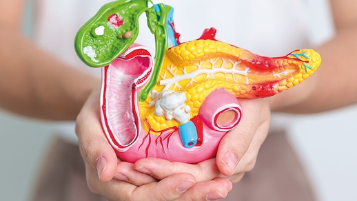 Die Ursachen für eine unzureichende Produktion von Verdauungsenzymen durch die Bauchspeicheldrüse reichen von Entzündungen über Stoffwechselstörungen bis hin zu Tumoren. © Shutterstock