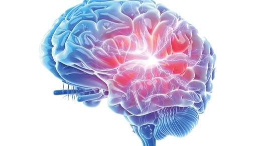 Gehirn © Shutterstock