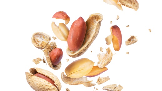 Erdnüsse © Shutterstock