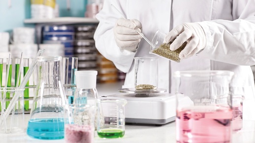 Neben der eingesetzten Drogenmenge, dem Extraktionsverfahren und dem Auszugsmittel hängt die Extraktqualität auch von Wirkstoffgehalt und Qualität der Ausgangspflanze ab. © Shutterstock