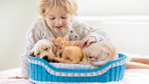 Allergieprävention © Shutterstock