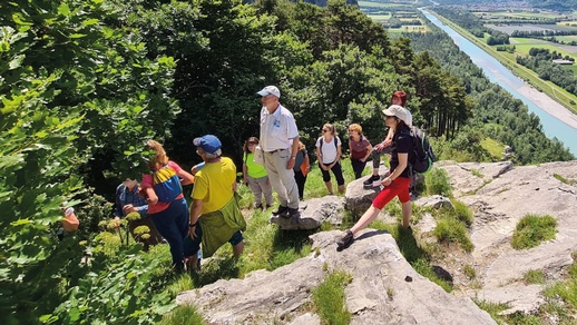Die Teilnehmer:innen fanden in den Ellhöhen bei Balzers ein breites Spektrum von botanischen Pflanzen vor.  © Apothekerkammer Vorarlberg