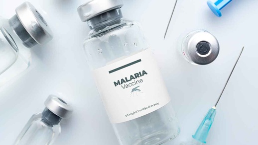 Malaria © Shutterstock