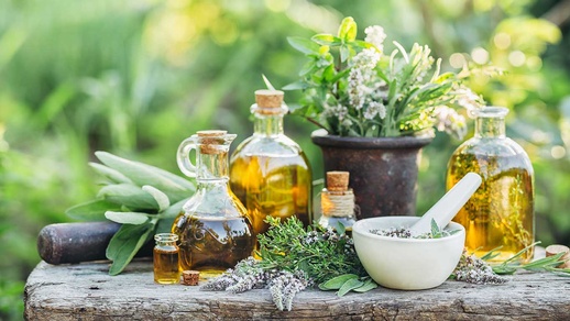 Arzneipflanzen &copy; shutterstock