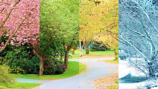 Abbildung der vier Jahreszeiten © Shutterstock