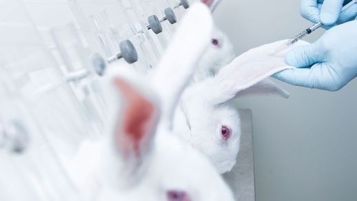 Kaninchen Tests © Shutterstock