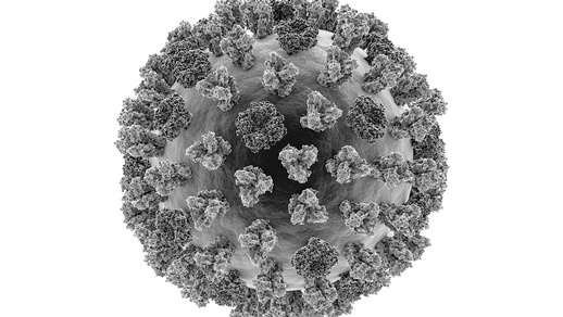 Virus © Shutterstock