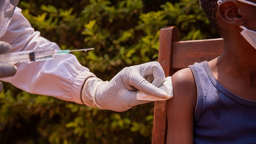 Malaria © shutterstock