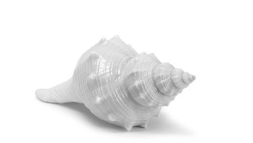 Schnecke © Shutterstock