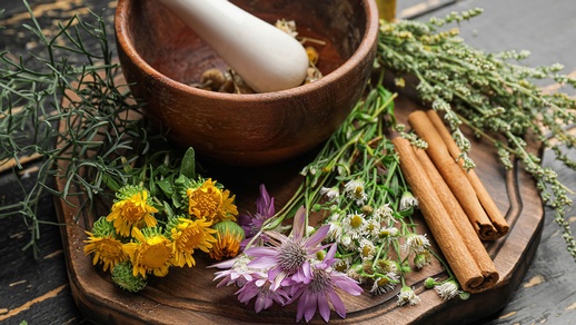 Arzneipflanzen © shutterstock