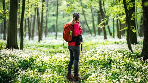 Waldspaziergang © shutterstock
