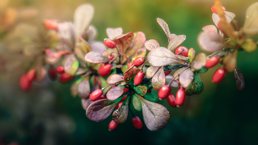 Shutterstock &copy; Shutterstock