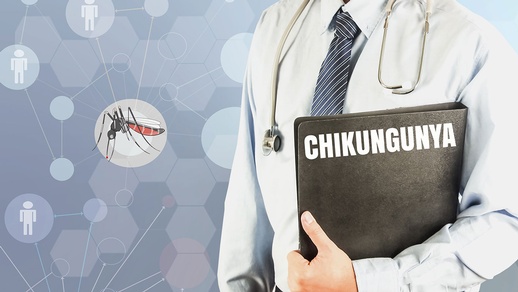 Chikugunya © Shutterstock