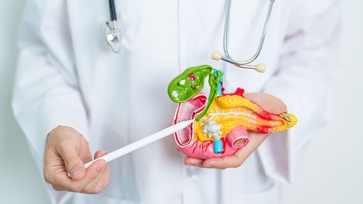 Gallengang © Shutterstock