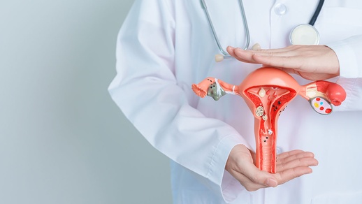 Gebärmutter © Shutterstock